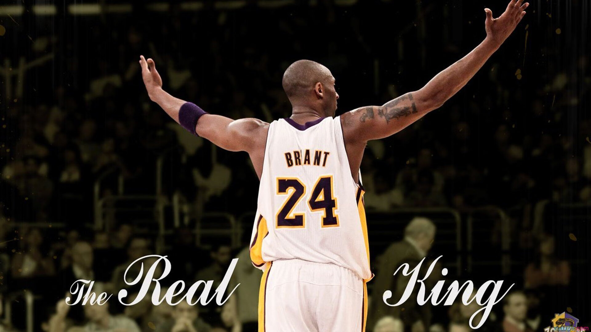 中国篮球的故事感动世界，中国篮球的故事感动世界人物